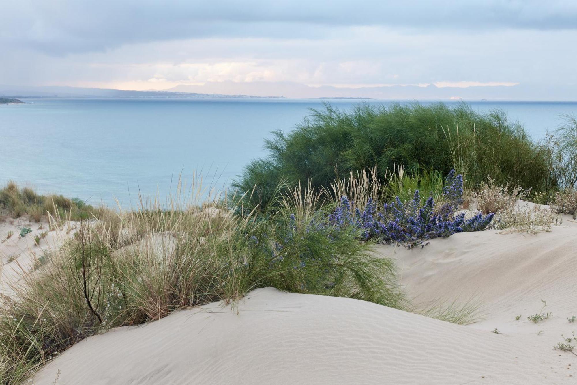 فندق Taiga Tarifa Punta Paloma المظهر الخارجي الصورة